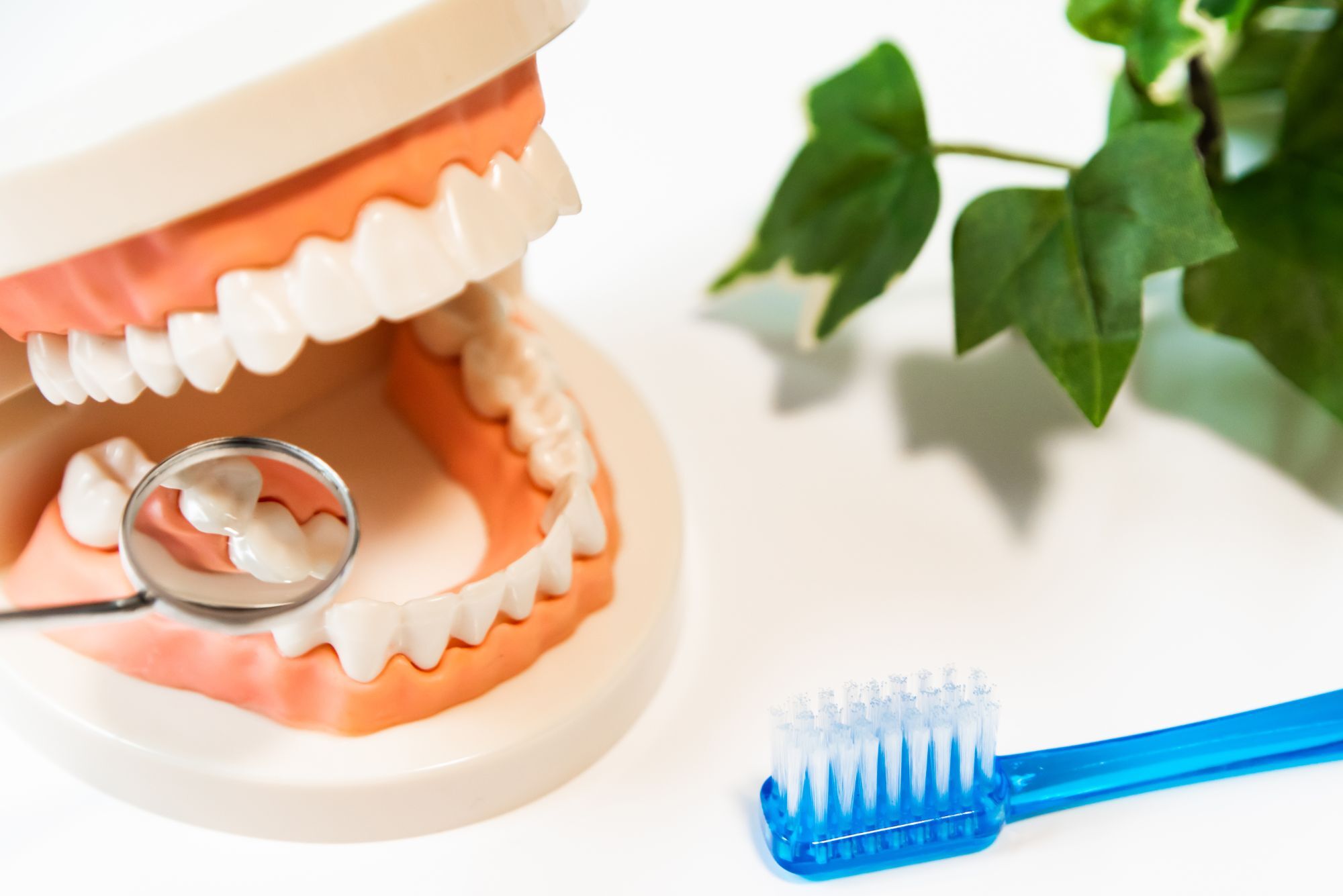 一般歯科・歯周病治療について